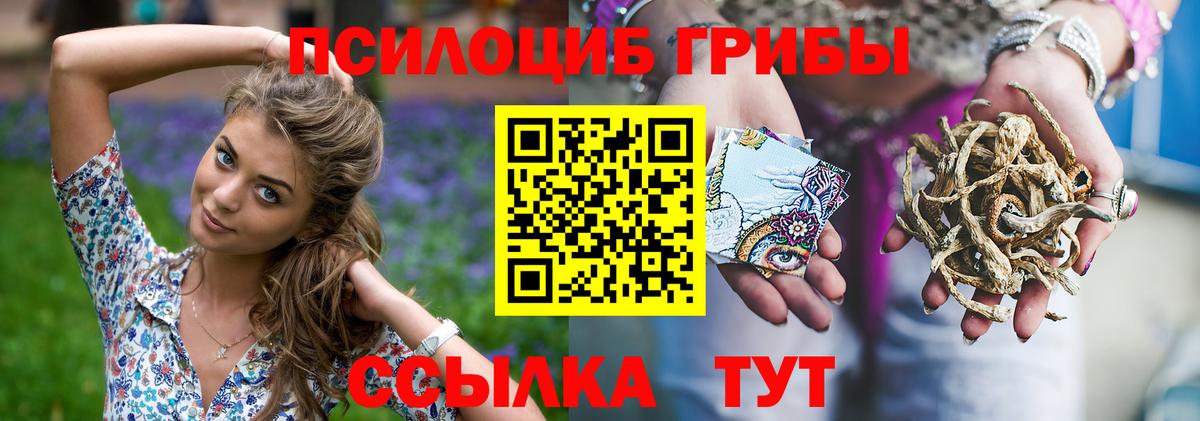 Псилоцибиновые грибы Cubensis  Вход с VPN  Тула 