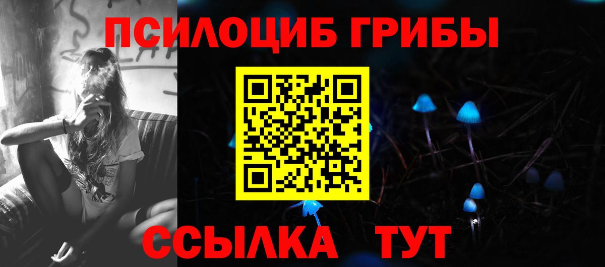 Псилоцибиновые грибы Psilocybine cubensis Тула